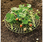 30cmx9.5cm 노란 플라스틱 Diy 딸기 식물은 지원합니다