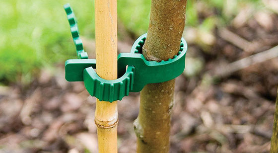 조정할 수 있는 24 센티미터 부드러운 브이리 원예 식물 고무 나무 제휴